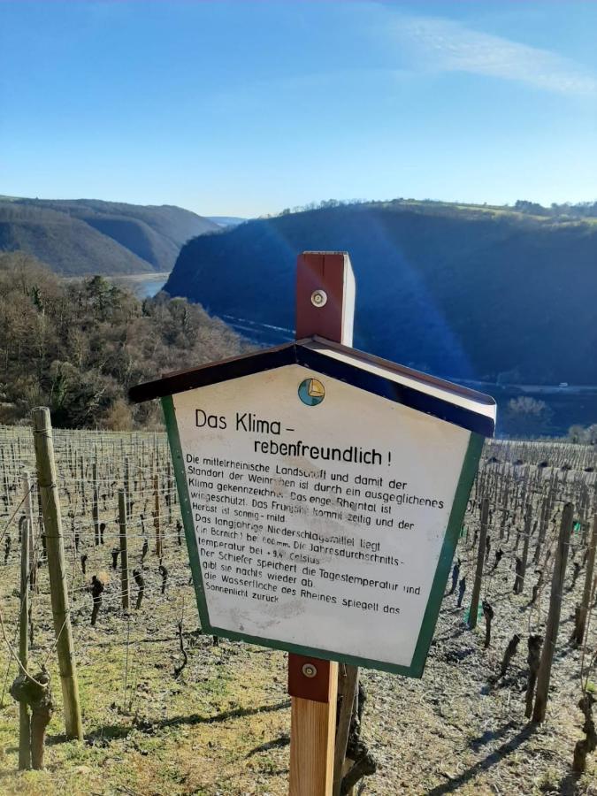 Apartmán Auszeit Rheingauer Rosengasse Johannisberg Exteriér fotografie